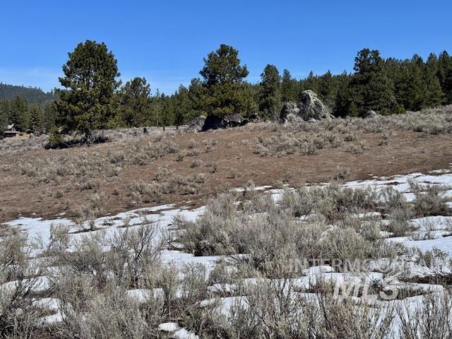 72-acres High Valley Road Cascade, ID 83611 - Photo 14 of 23