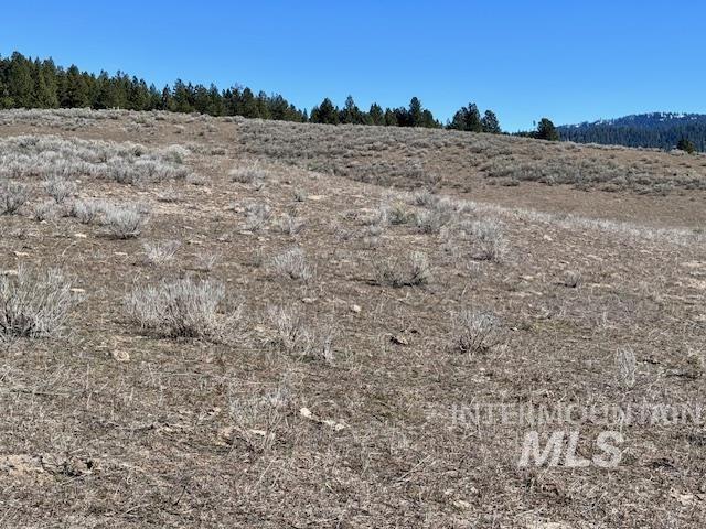 72-acres High Valley Road Cascade, ID 83611 - Photo 20 of 23
