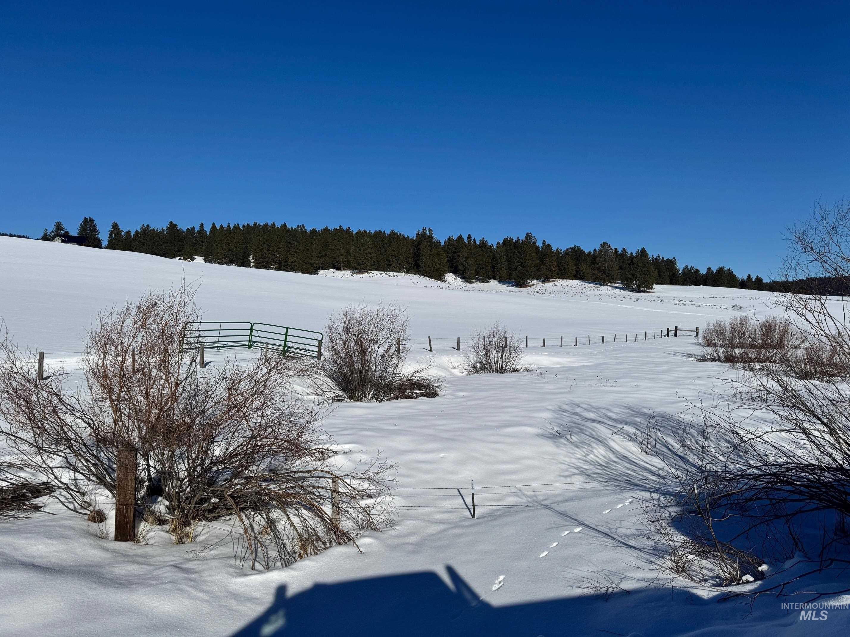 72-acres High Valley Road Cascade, ID 83611 - Photo 5 of 23