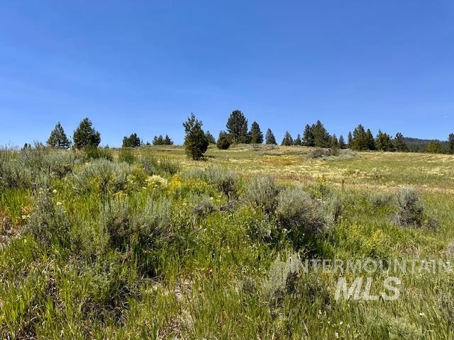 72-acres High Valley Road Cascade, ID 83611 - Photo 6 of 23