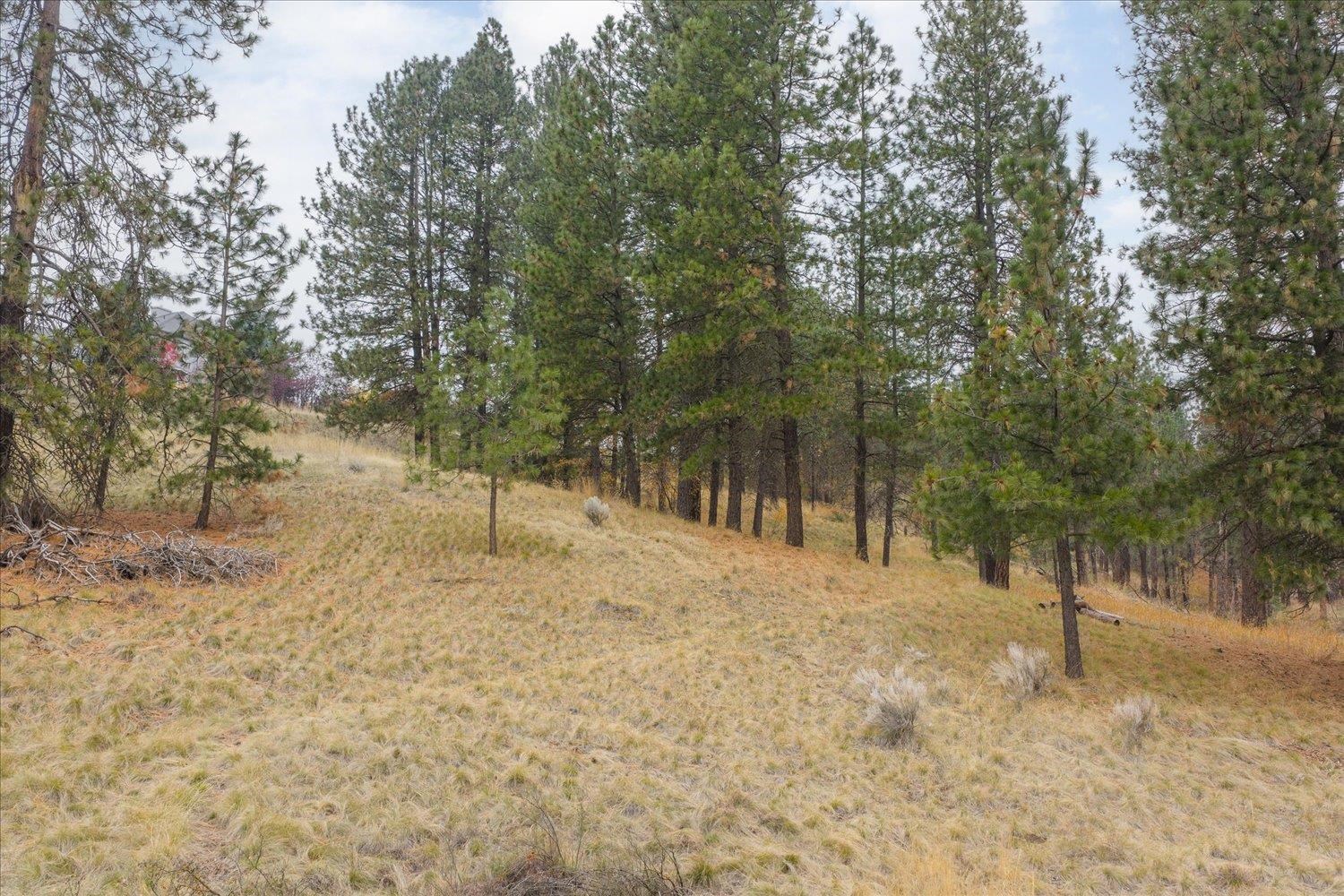 7302 North Quamish Drive Spokane, WA 99208 - Photo 42 of 45