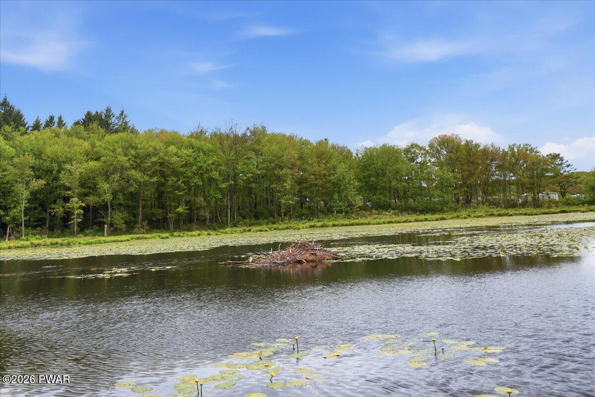 103 Forever Green Road Lakeville, PA 18438 - Photo 40 of 179