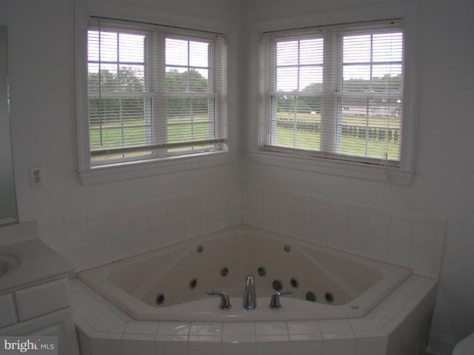 4022 Grave Run Road Manchester, MD 21102 - Photo 7 of 23 Master Bath