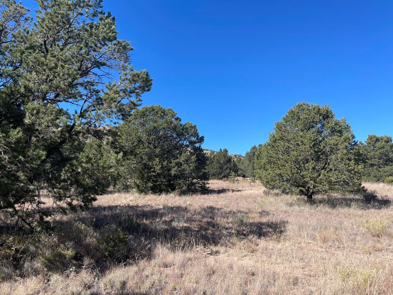 111 Homestead Trail Datil, NM 87821 - Photo 33 of 37 Gallery Image 33
