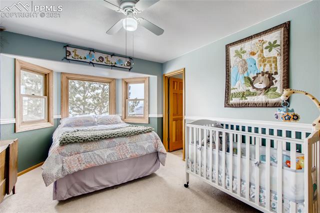 1025 Bowstring Road Monument, CO 80132 - Photo 26 of 44 Junior suite with attached 3/4 bath