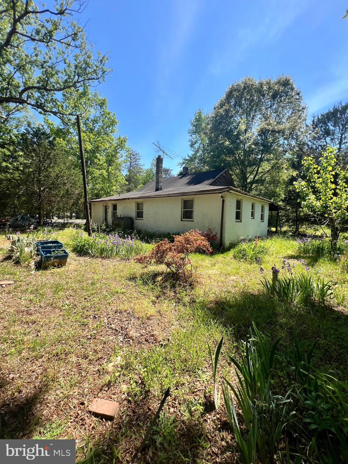 11495 A Maryland Point Road Nanjemoy, MD 20662 - Photo 3 of 12 a view of swimming pool yard