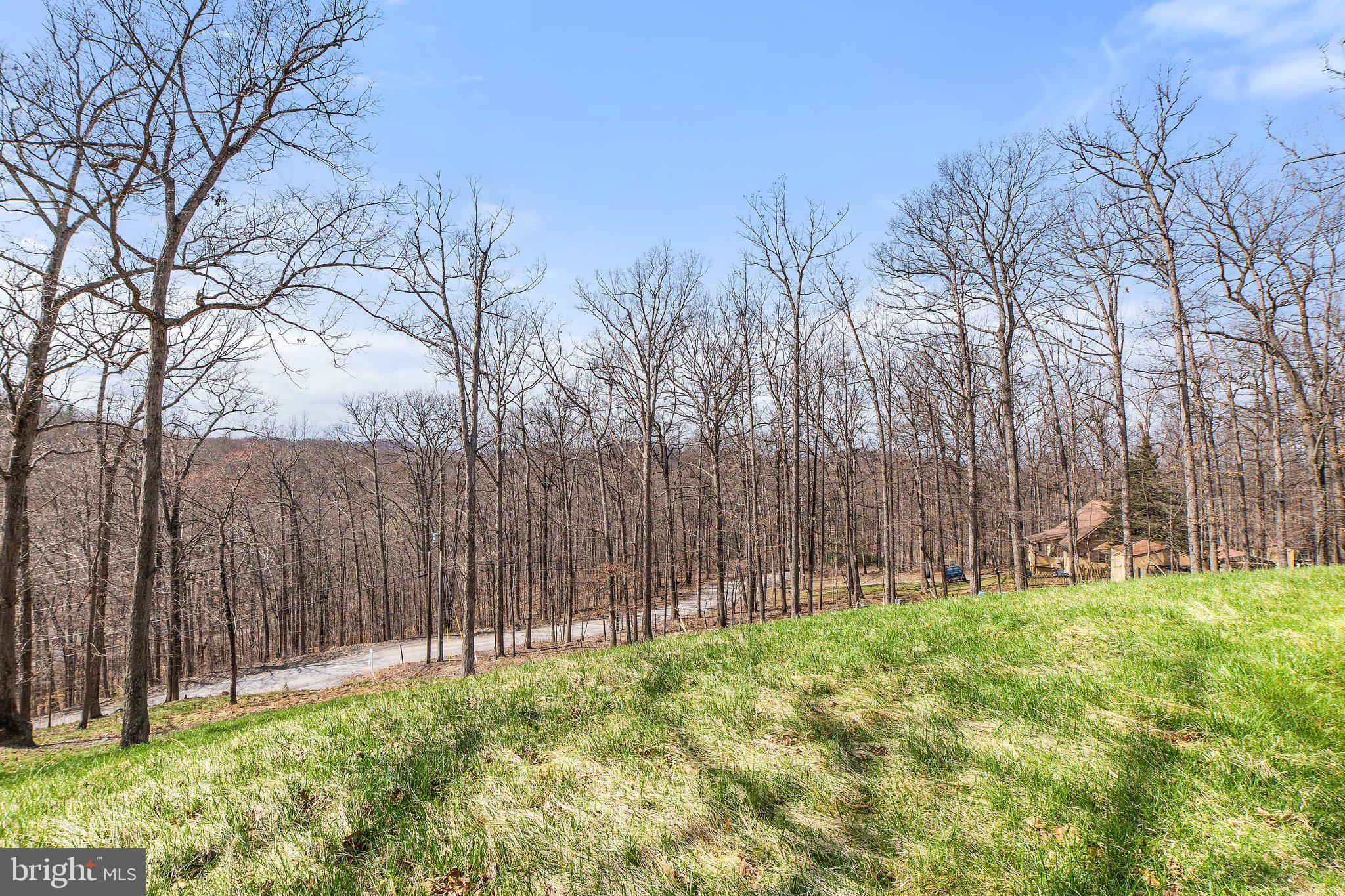 608 Venus Branch Road Front Royal, VA 22630 - Photo 54 of 62 Gallery Image 54