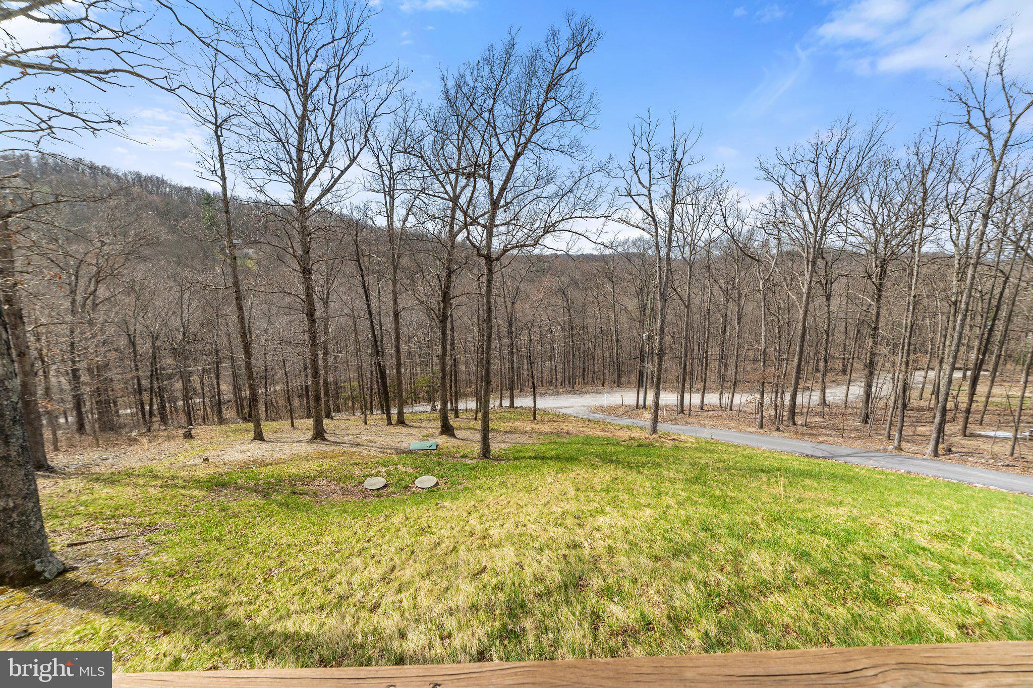 608 Venus Branch Road Front Royal, VA 22630 - Photo 55 of 62 Gallery Image 55