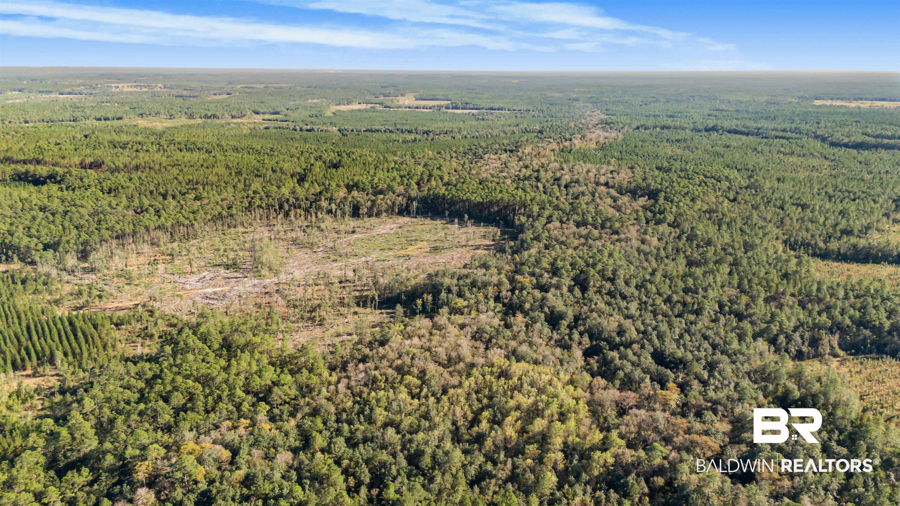 0 County Road 112 Robertsdale, AL 36567 - Photo 24 of 33 Bird's eye view