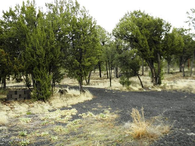 3097 Ponderosa Road Overgaard, AZ 85933 - Photo 1 of 26 a view of a yard with a tree