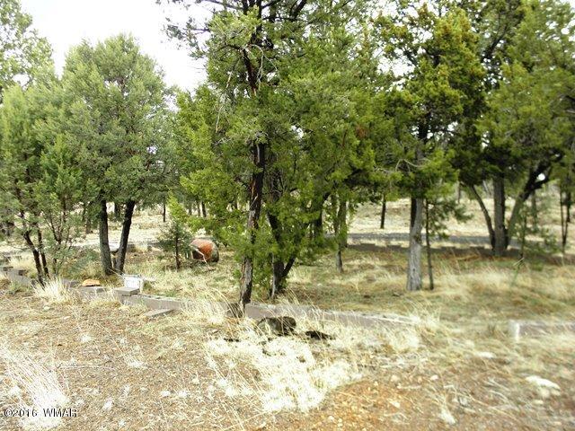 3097 Ponderosa Road Overgaard, AZ 85933 - Photo 8 of 26 a view of swimming pool with a trees