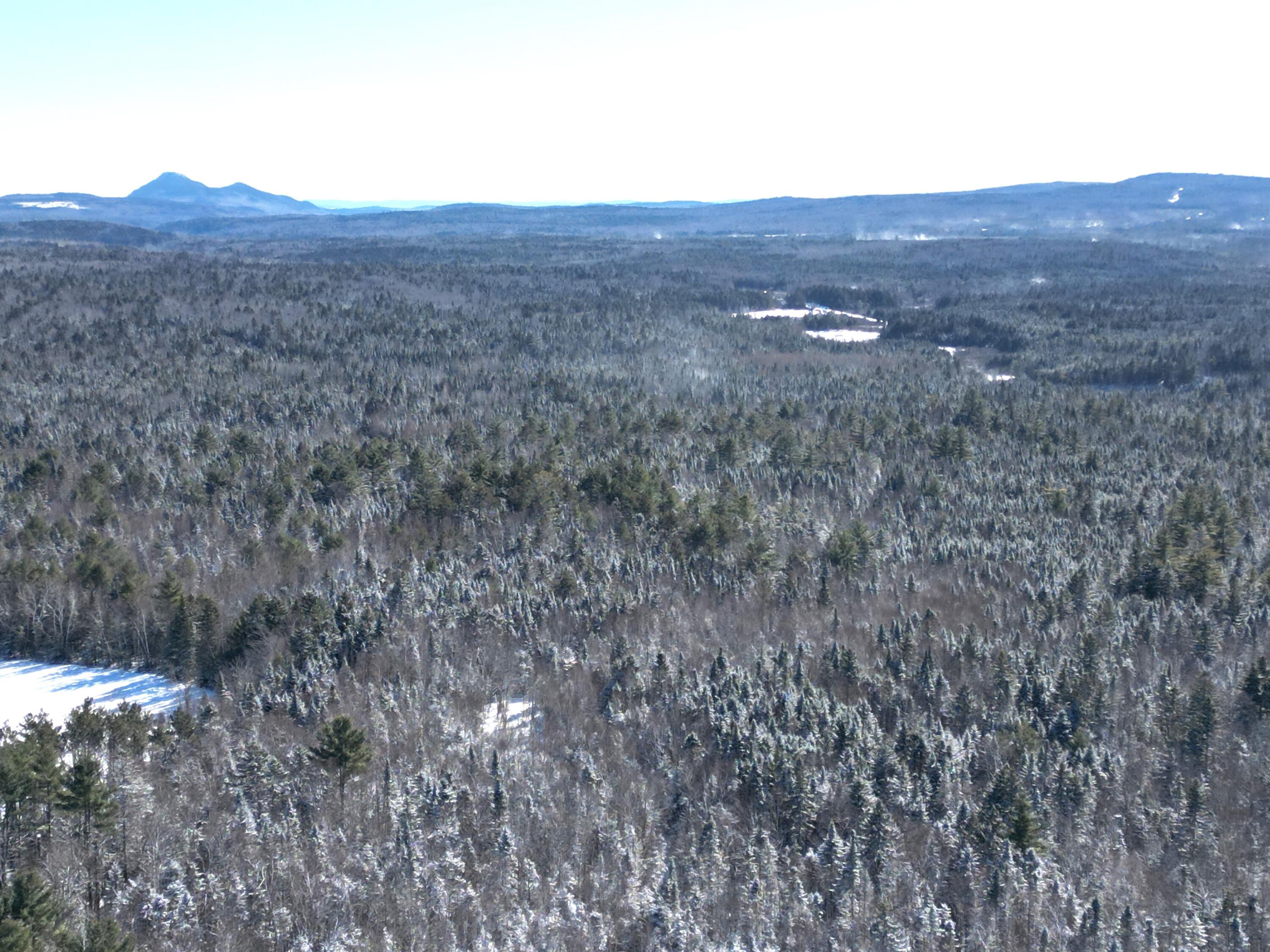 DJI_0647