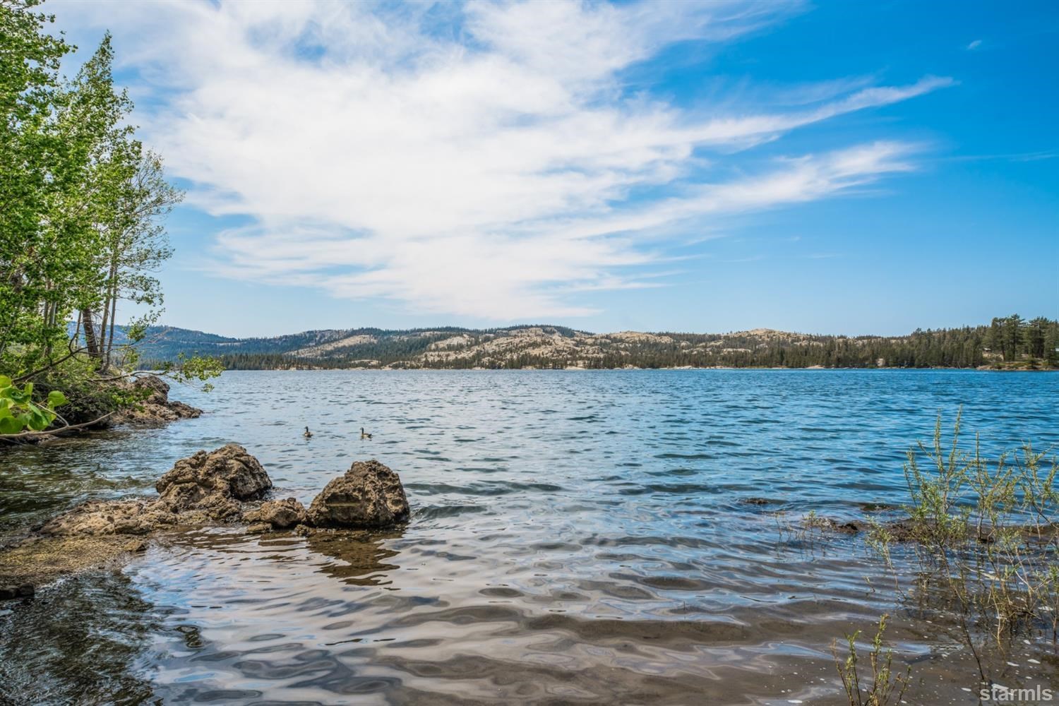 31960 Kit Carson Road, Unit 54 Pioneer, CA 95666 - Photo 4 of 21 a view of a lake with a beach