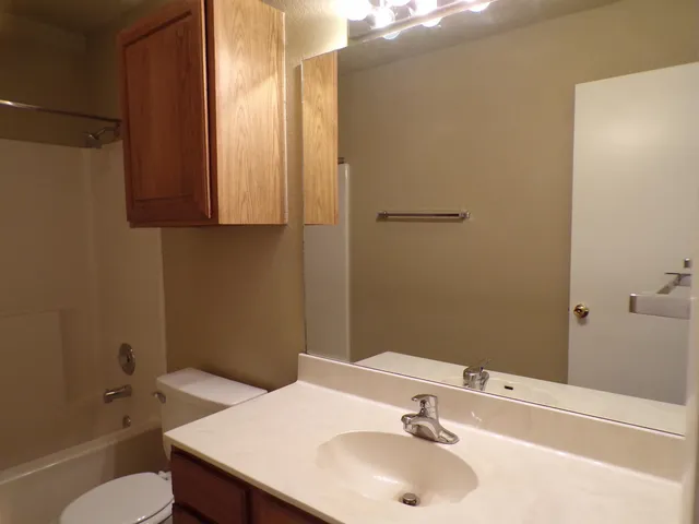 a bathroom with a sink and a toilet