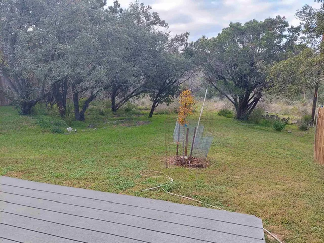 a view of a garden with an outdoor space