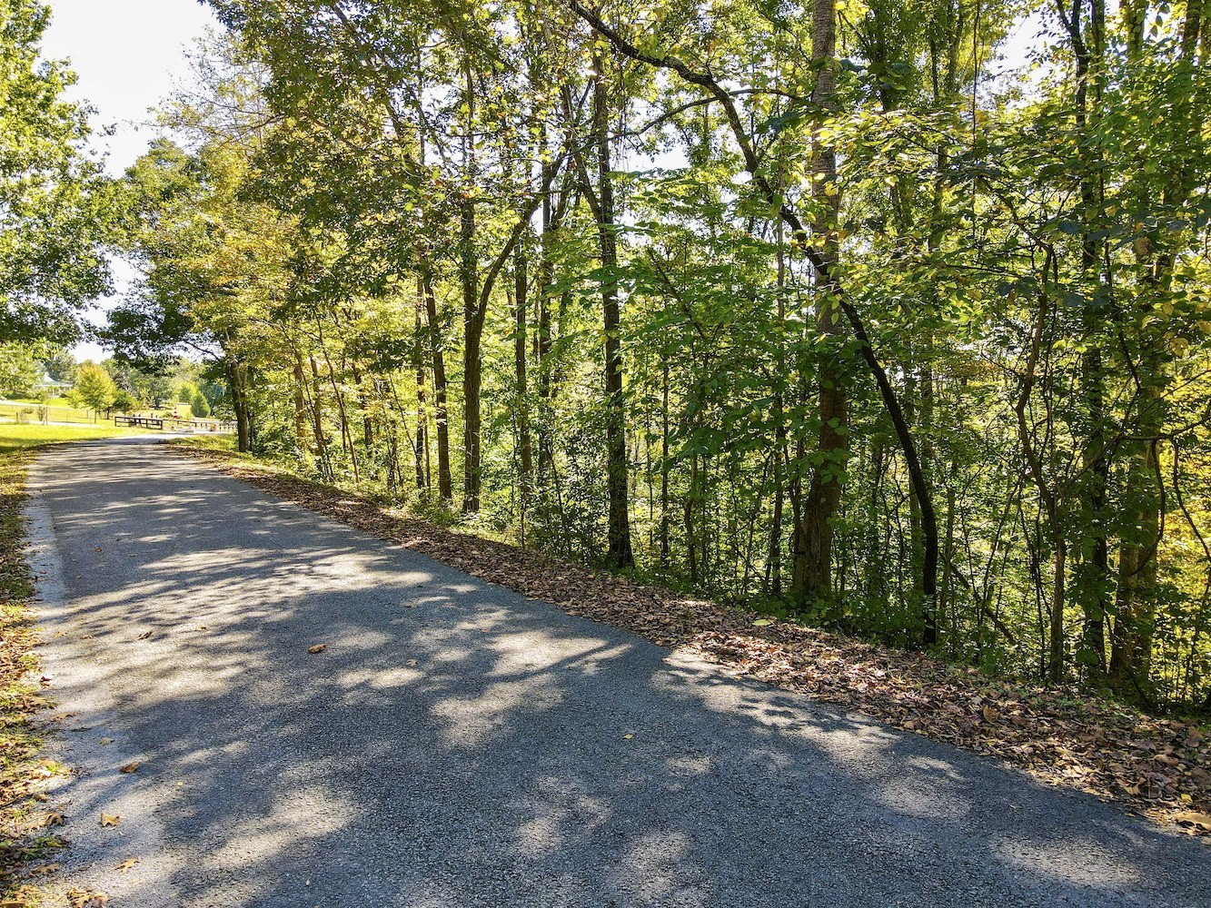 0 Winding Way Road Culleoka, TN 38451 - Photo 11 of 11 Gallery Image 11