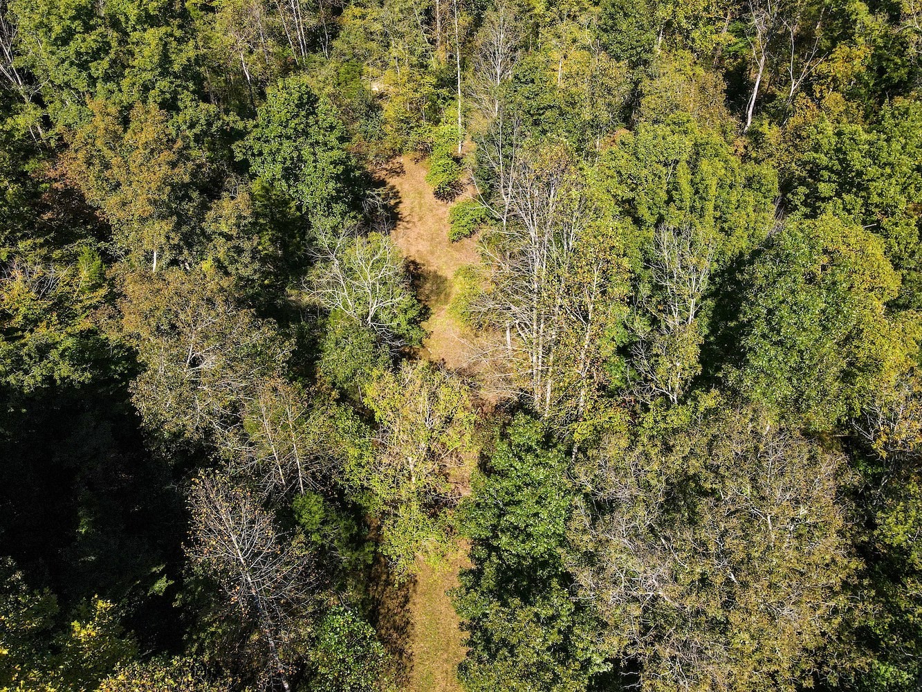 0 Winding Way Road Culleoka, TN 38451 - Photo 8 of 11 Gallery Image 8