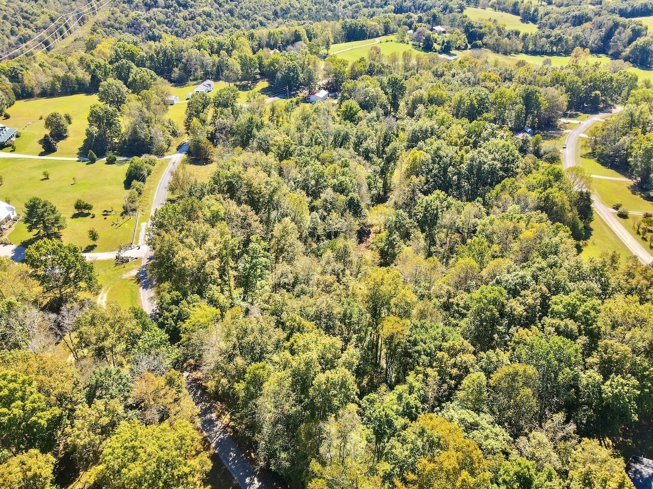0 Winding Way Road Culleoka, TN 38451 - Photo 10 of 11 Gallery Image 10