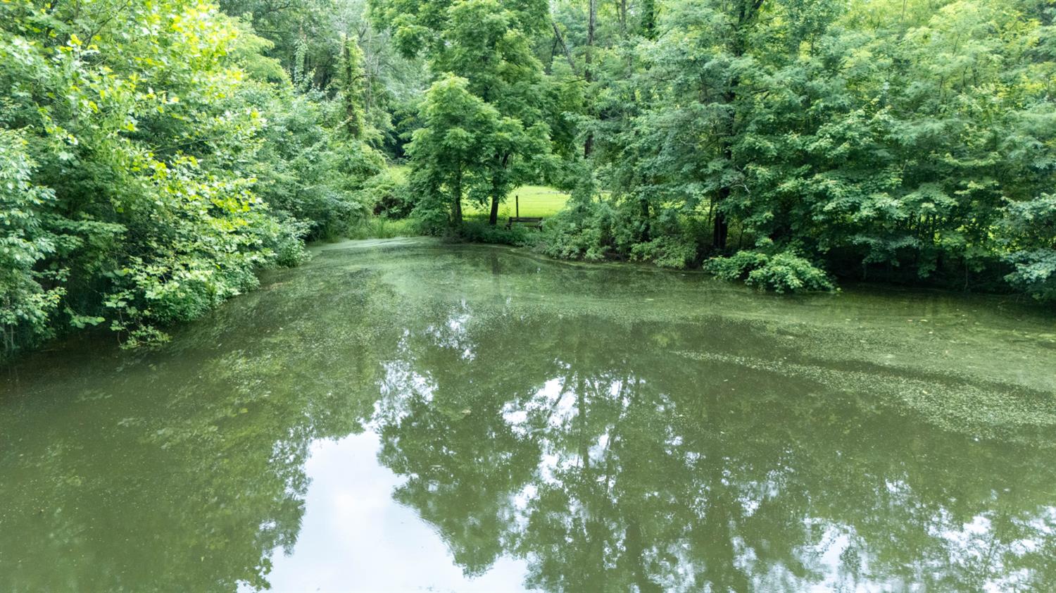 12567 White Plains Road Milan, IN 47031 - Photo 24 of 75