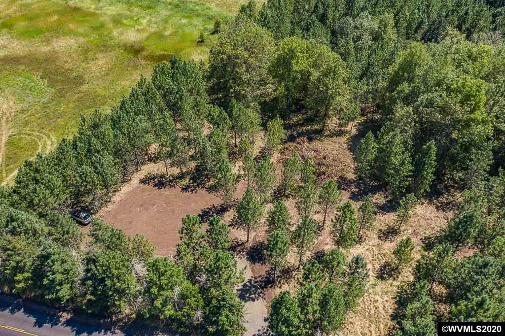 37891 Hungry Hill Road Scio, OR 97374 - Photo 9 of 38