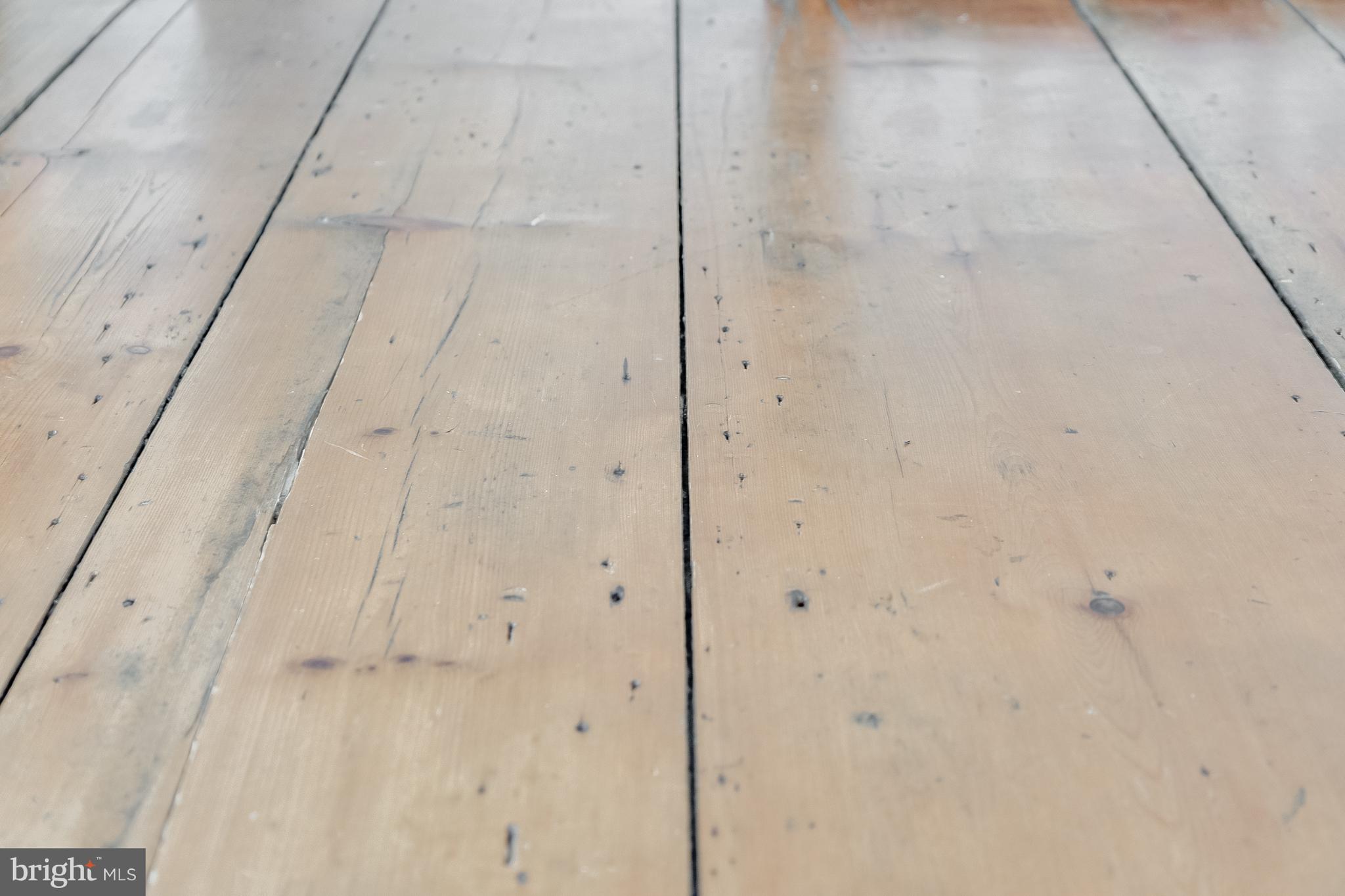 112 West 3rd Street Lewes, DE 19958 - Photo 44 of 73