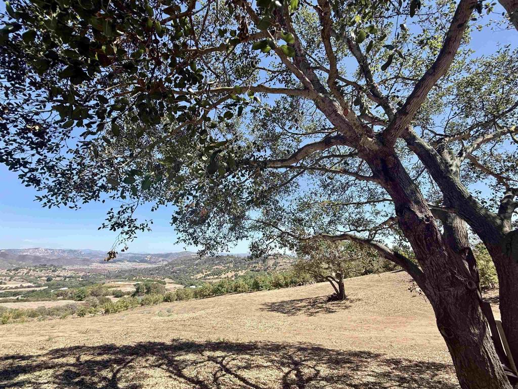 Hawks View Way Fallbrook, CA 92028 - Photo 10 of 36