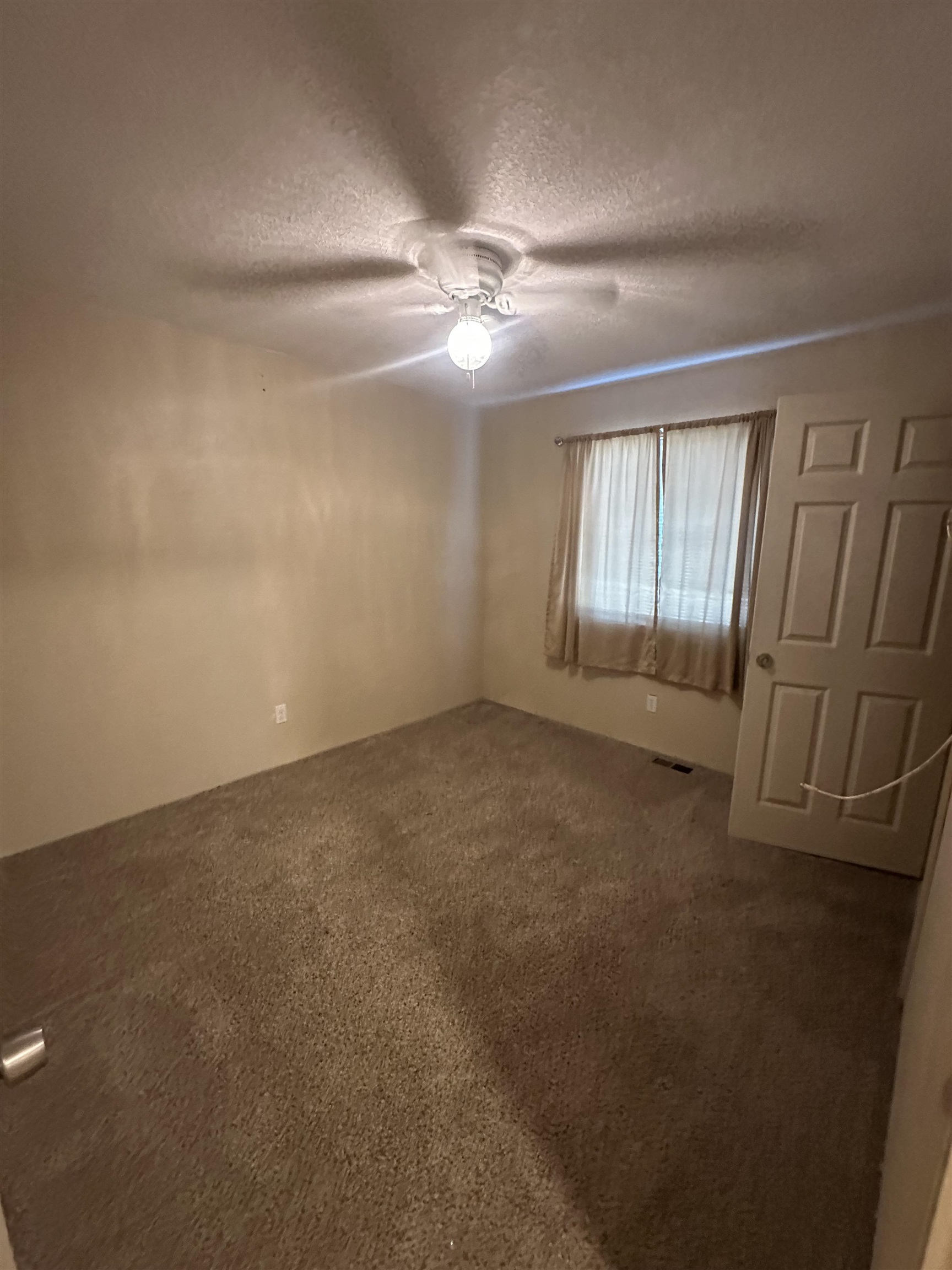 3518 Northeast Persimmon Drive Pinetta, FL 32350 - Photo 16 of 38