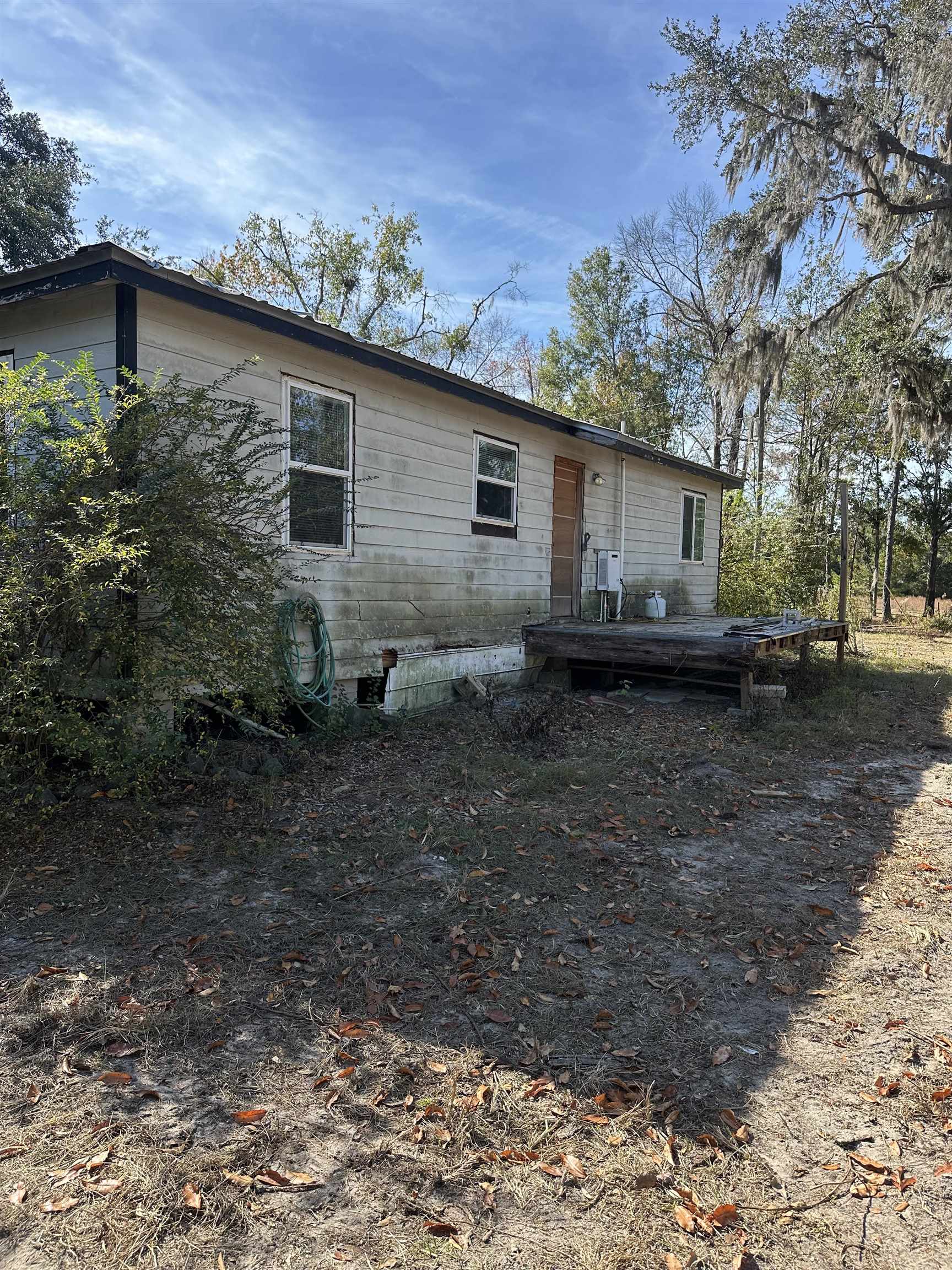 3518 Northeast Persimmon Drive Pinetta, FL 32350 - Photo 19 of 38