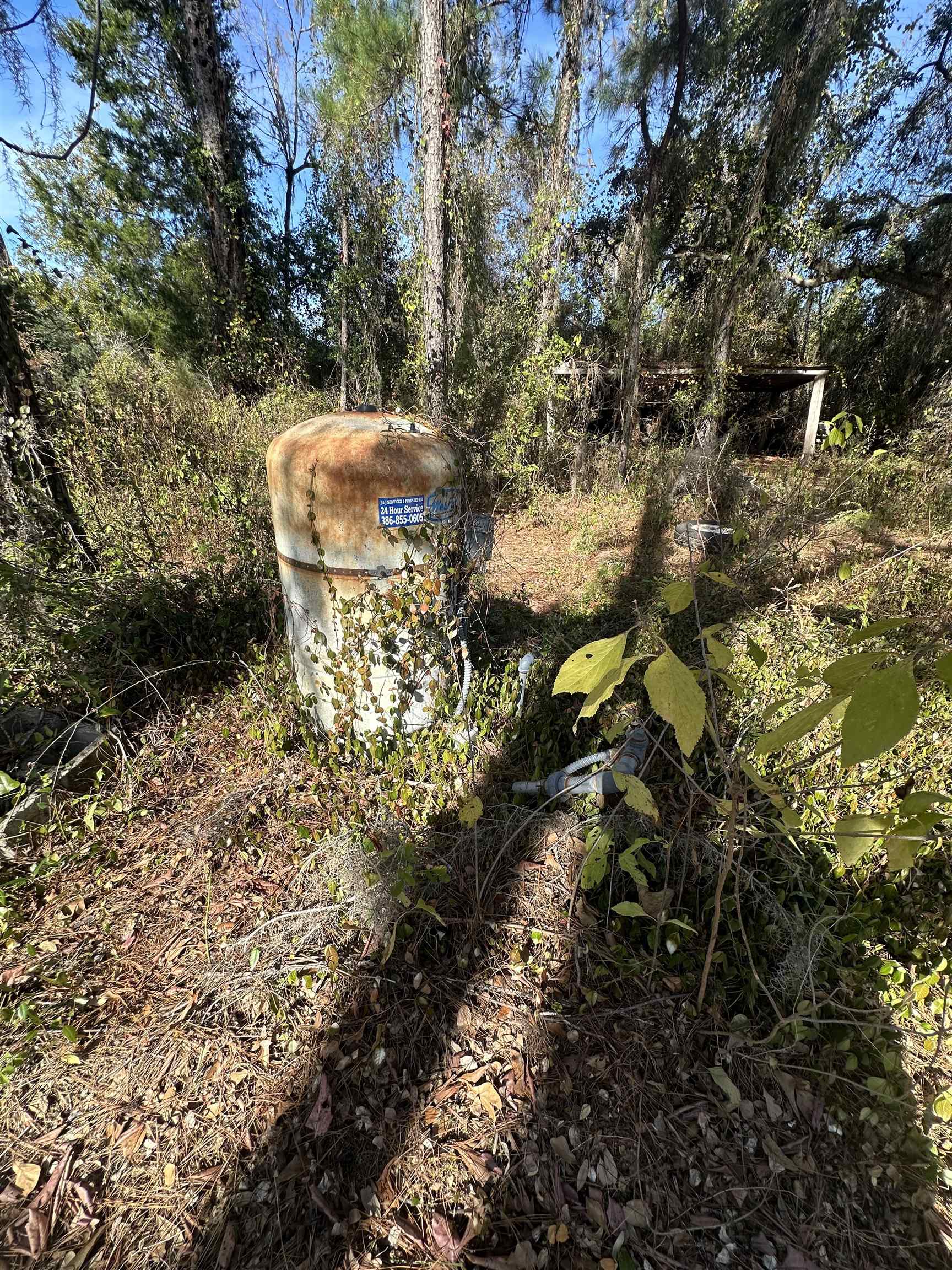 3518 Northeast Persimmon Drive Pinetta, FL 32350 - Photo 2 of 38