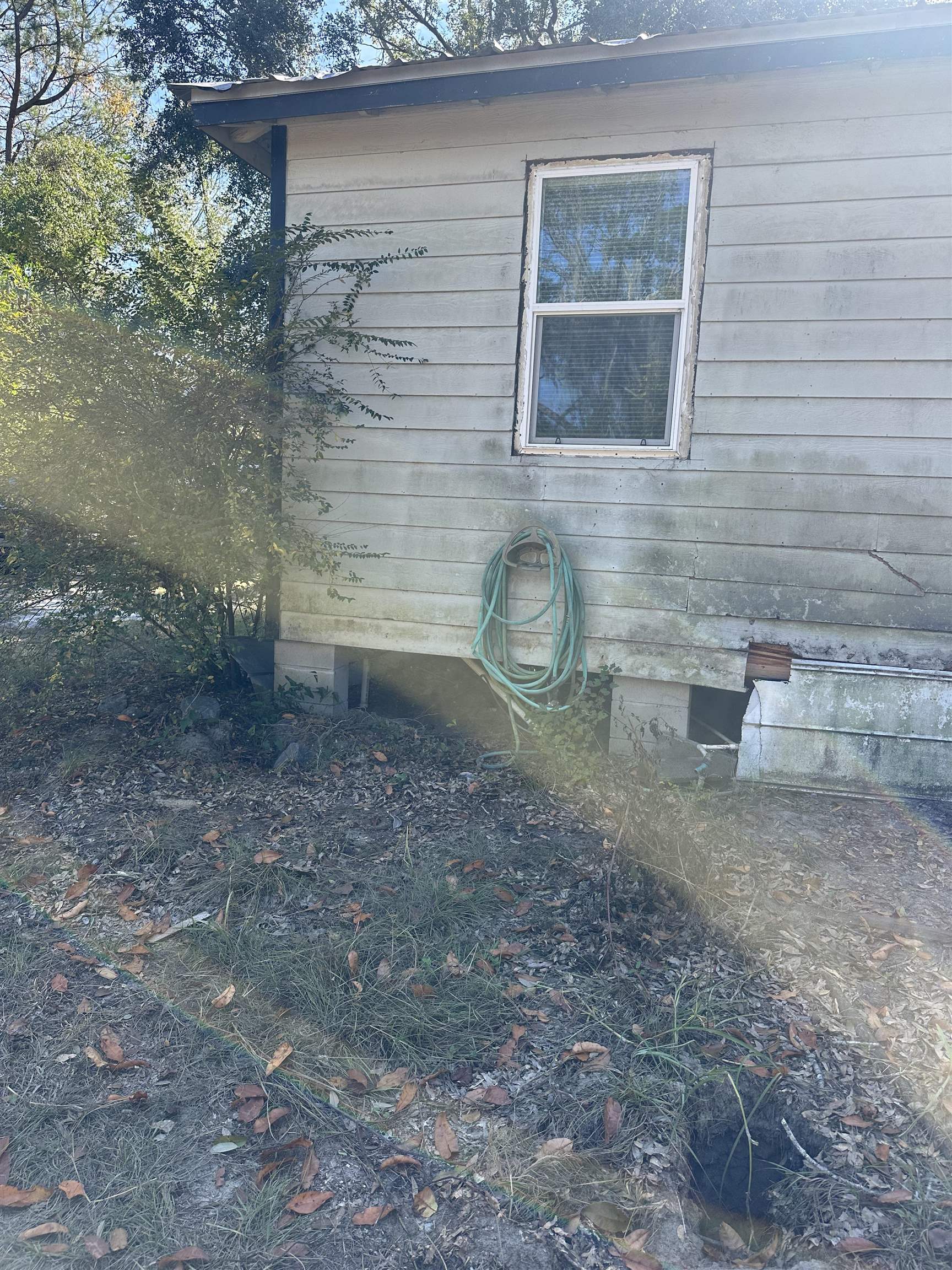 3518 Northeast Persimmon Drive Pinetta, FL 32350 - Photo 25 of 38