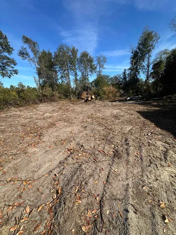 $75,000 | 3518 Northeast Persimmon Drive, Pinetta, FL 32350