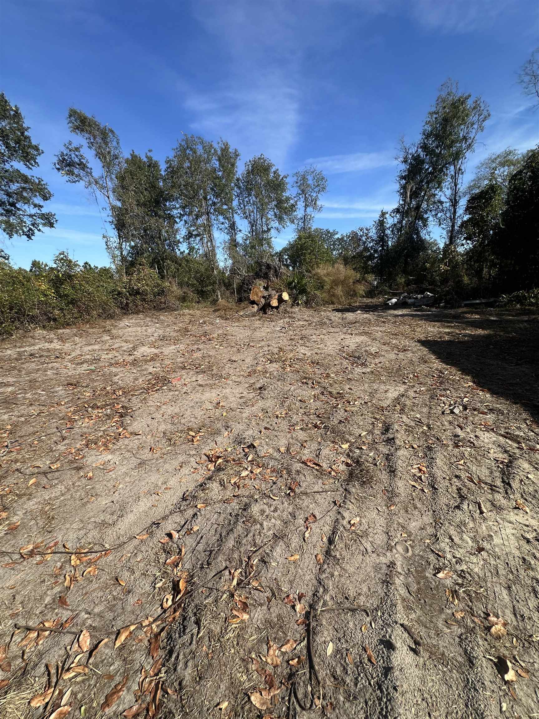 3518 Northeast Persimmon Drive Pinetta, FL 32350 - Photo 3 of 38