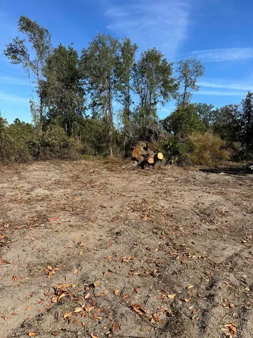 $75,000 | 3518 Northeast Persimmon Drive, Pinetta, FL 32350