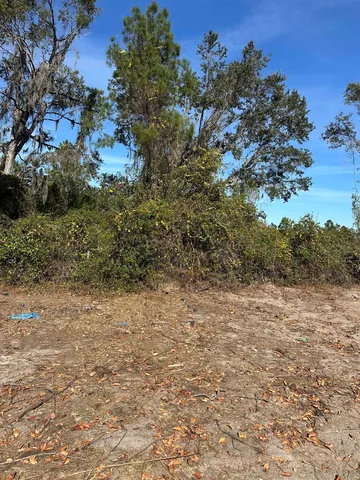 $75,000 | 3518 Northeast Persimmon Drive, Pinetta, FL 32350