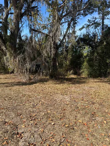 $75,000 | 3518 Northeast Persimmon Drive, Pinetta, FL 32350