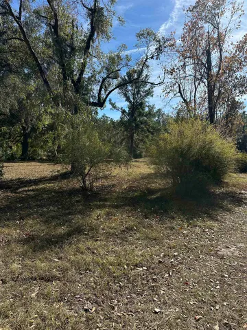 $75,000 | 3518 Northeast Persimmon Drive, Pinetta, FL 32350