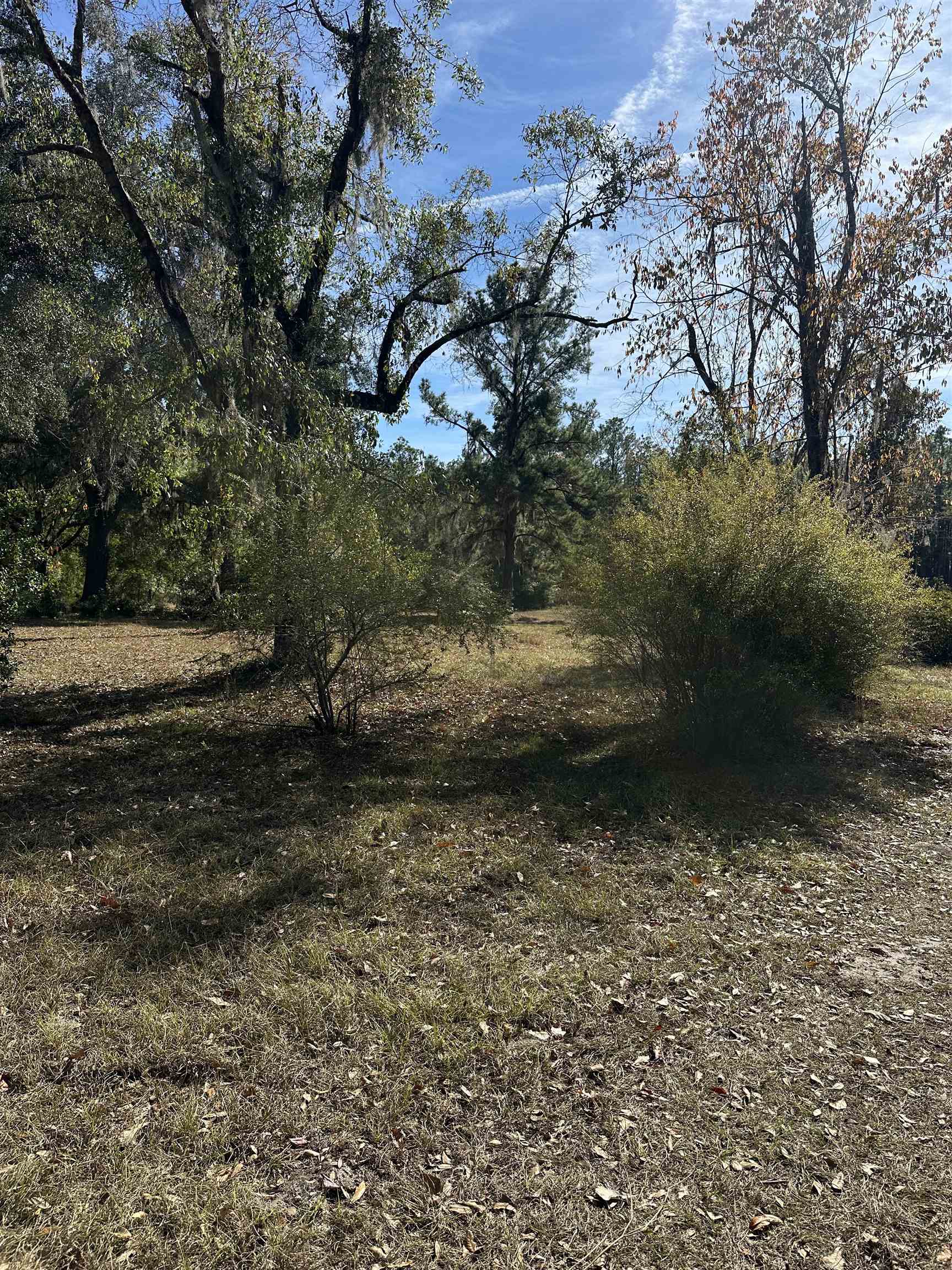 3518 Northeast Persimmon Drive Pinetta, FL 32350 - Photo 7 of 38