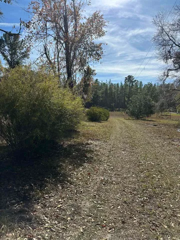 $75,000 | 3518 Northeast Persimmon Drive, Pinetta, FL 32350