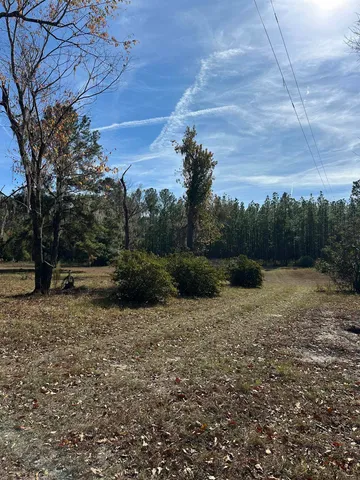 $75,000 | 3518 Northeast Persimmon Drive, Pinetta, FL 32350