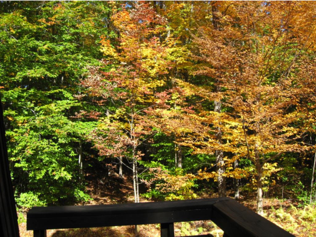 690 Farrar Road Chester, VT 05143 - Photo 21 of 32