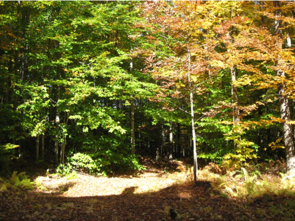 690 Farrar Road Chester, VT 05143 - Photo 25 of 32