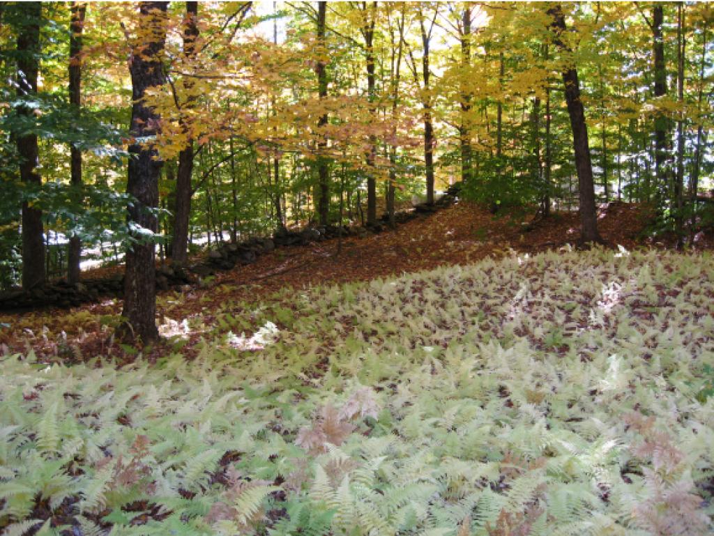 690 Farrar Road Chester, VT 05143 - Photo 28 of 32