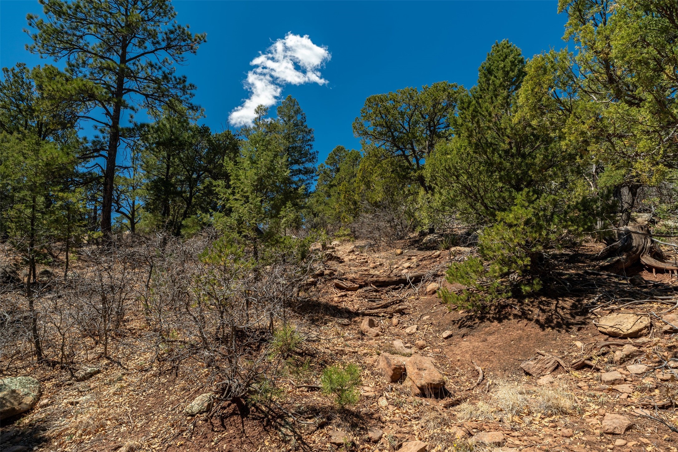 30 Monte La Cueva Road Glorieta, NM 87535 - Photo 76 of 91