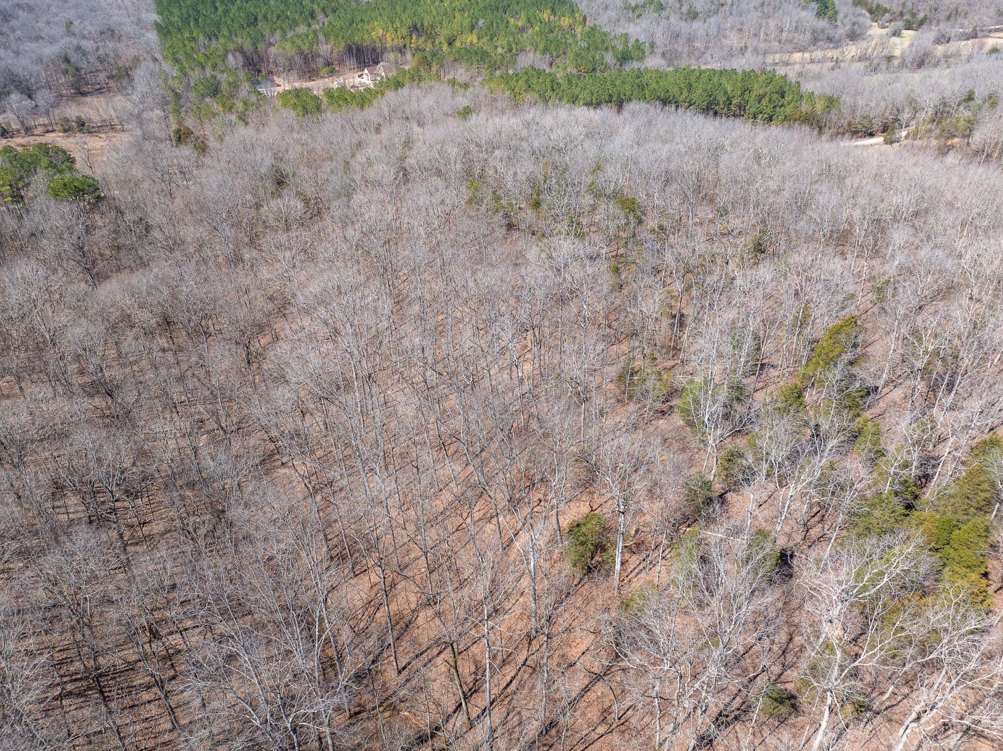 355 John Henry Pratt Road Sugar Tree, TN 38380 - Photo 14 of 17 Gallery Image 14