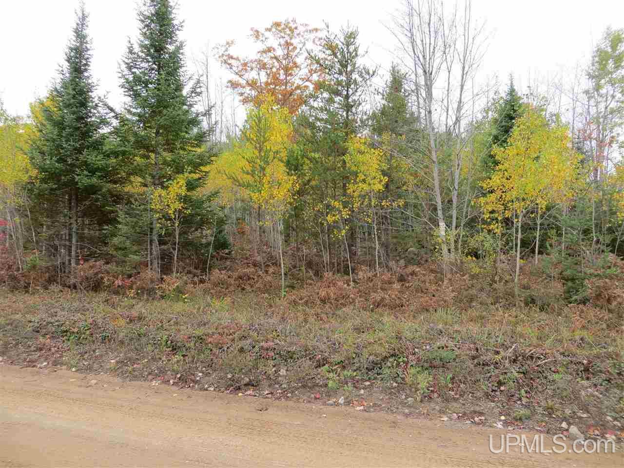 Tbd Co Rd Ff Republic, MI 49879 - Photo 25 of 29
