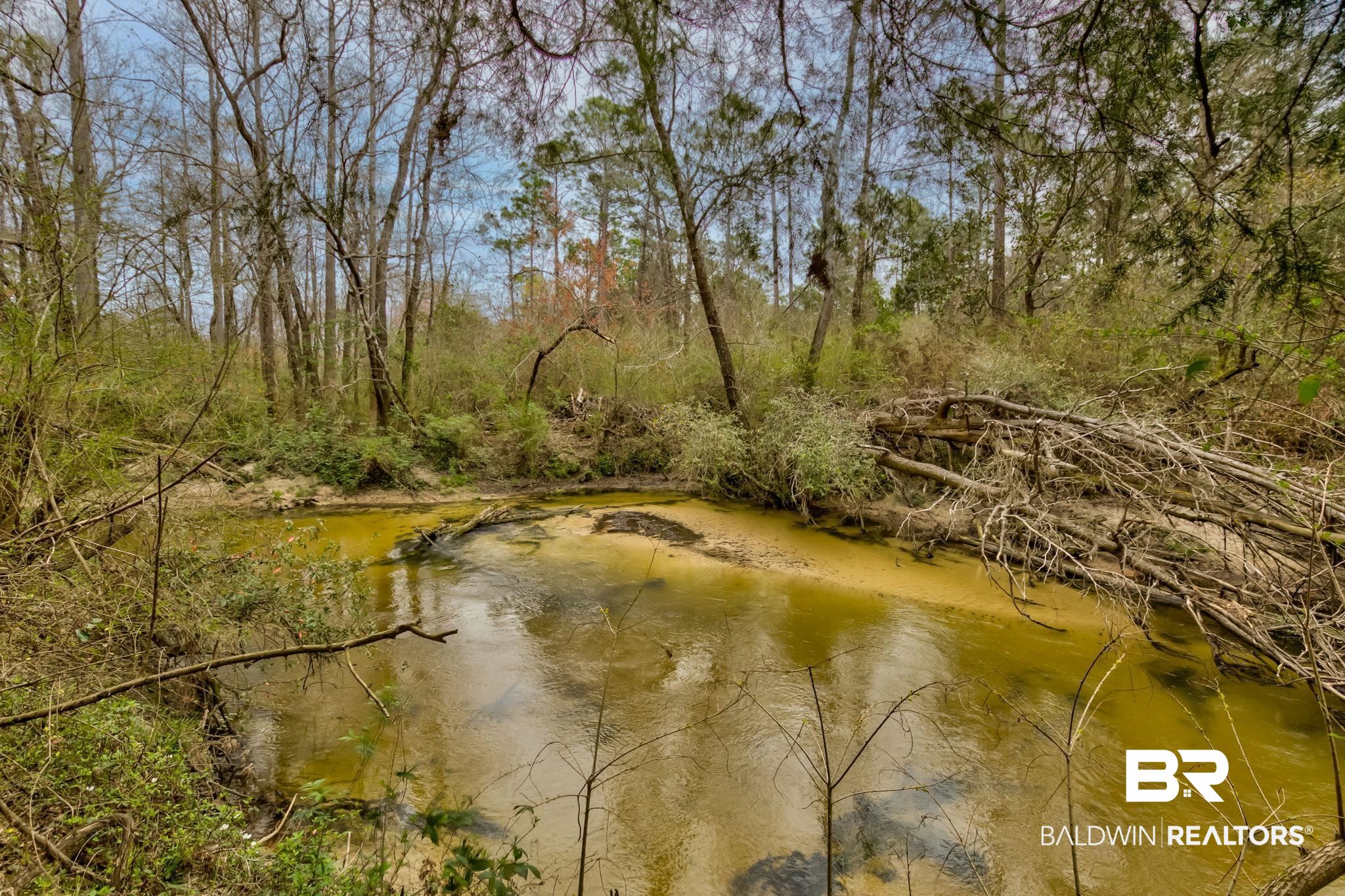 20640 Langford Road Fairhope, AL 36532 - Photo 6 of 34