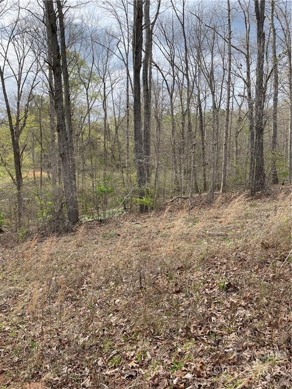 4058 Coxe Road Tryon, NC 28782 - Photo 12 of 31 a view of outdoor space with trees