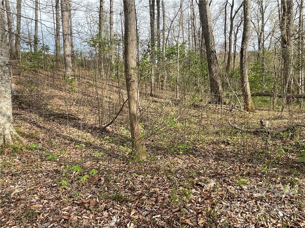 4058 Coxe Road Tryon, NC 28782 - Photo 13 of 31