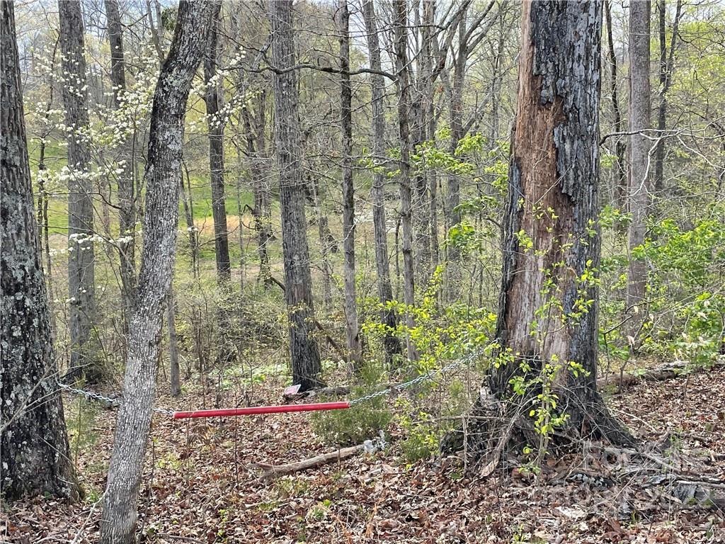 4058 Coxe Road Tryon, NC 28782 - Photo 15 of 31 a backyard of a house with lots of green space