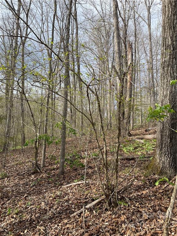 4058 Coxe Road Tryon, NC 28782 - Photo 28 of 31 a backyard of a house with lots of green space